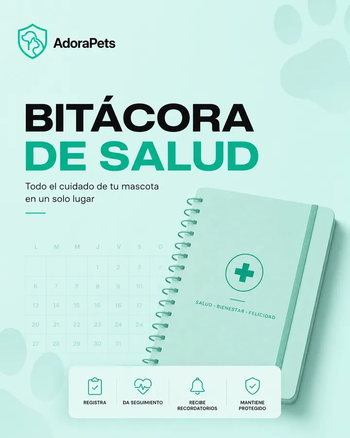 Portada de la Bitácora de Salud